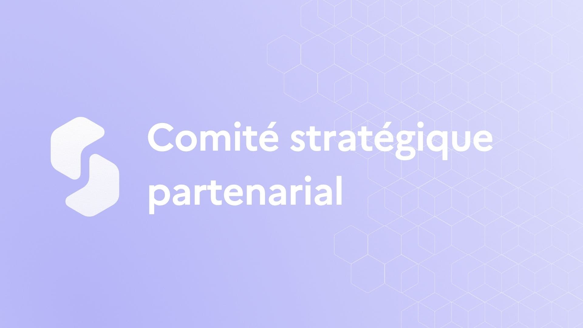 Comité stratégique partenarial de la Suite territoriale